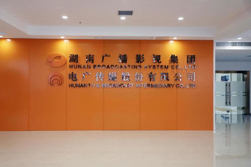 電廣傳媒上半年凈利潤4.71億創紀錄，藝術策劃與內容生態協同發展成亮點